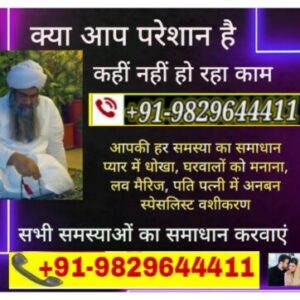 Profile photo of molviji uk usa
