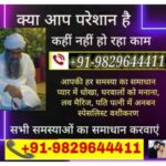 Profile photo of molviji uk usa